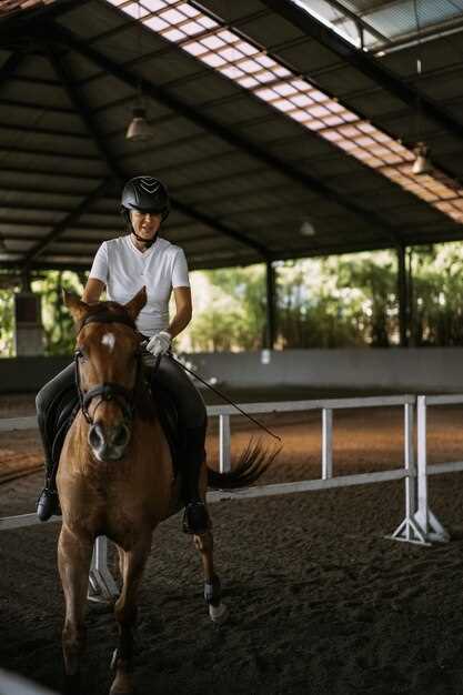 Protocolos de comunicación y señalización en el paddock